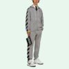 Chaqueta deportiva con cremallera y rayas con estampado del logotipo de la colección SS21, gris
