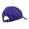 Gorra de béisbol universitaria con parche del logotipo