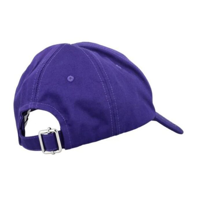 Gorra de béisbol universitaria con parche del logotipo