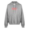 Sudadera con capucha y eslogan «Gris»